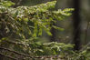 DSC_0708_small.jpg