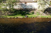 DSC_0924_small.jpg