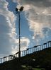 Filename : DSC_1098_small.jpg
Filesize : 120KB
Dimensions : 471x650
Date added : Aug 12, 2004 DSC_1098_small.jpg