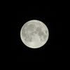 Filename : DSC_2886.jpg
Filesize : 129KB
Dimensions : 612x612
Date added : Aug 20, 2005 DSC_2886.jpg