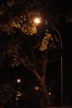 Filename : DSC_2908_small.jpg
Filesize : 205KB
Dimensions : 499x750
Date added : Aug 20, 2005 DSC_2908_small.jpg