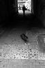 Filename : DSC_3791_1_small.jpg
Filesize : 138KB
Dimensions : 532x800
Date added : Oct 23, 2004 DSC_3791_1_small.jpg