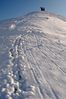 Filename : DSC_4973_1_small.jpg
Filesize : 171KB
Dimensions : 465x700
Date added : Feb 05, 2005 DSC_4973_1_small.jpg