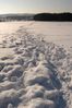 Filename : DSC_4974_1_small.jpg
Filesize : 168KB
Dimensions : 465x700
Date added : Feb 05, 2005 DSC_4974_1_small.jpg