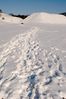 Filename : DSC_4985_1_small.jpg
Filesize : 157KB
Dimensions : 465x700
Date added : Feb 05, 2005 DSC_4985_1_small.jpg