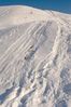 Filename : DSC_5023_1_small.jpg
Filesize : 154KB
Dimensions : 465x700
Date added : Feb 05, 2005 DSC_5023_1_small.jpg