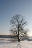 Filename : DSC_5049_1_small.jpg
Filesize : 143KB
Dimensions : 465x700
Date added : Feb 05, 2005 DSC_5049_1_small.jpg