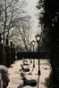 Filename : DSC_5079_1_small.jpg
Filesize : 161KB
Dimensions : 465x700
Date added : Feb 05, 2005 DSC_5079_1_small.jpg