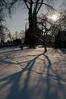 Filename : DSC_5082_1_small.jpg
Filesize : 152KB
Dimensions : 465x700
Date added : Feb 05, 2005 DSC_5082_1_small.jpg