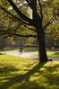 Filename : DSC_5771_1_small.jpg
Filesize : 246KB
Dimensions : 499x750
Date added : Oct 02, 2005 DSC_5771_1_small.jpg