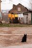 Filename : DSC_6702_small.jpg
Filesize : 168KB
Dimensions : 400x602
Date added : Apr 17, 2005 DSC_6702_small.jpg