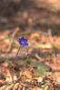 Filename : DSC_8680.jpg
Filesize : 70KB
Dimensions : 666x1000
Date added : Apr 18, 2004 DSC_8680.jpg