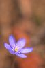 Filename : DSC_8698.jpg
Filesize : 34KB
Dimensions : 666x1000
Date added : Apr 18, 2004 DSC_8698.jpg