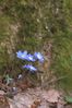 Filename : DSC_8701.jpg
Filesize : 84KB
Dimensions : 666x1000
Date added : Apr 18, 2004 DSC_8701.jpg