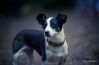 Day_2_0105_MPU_3004.jpg