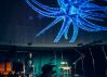 Filename : MPU_4099~1.jpg
Filesize : 898KB
Dimensions : 2160x1554
Date added : Dec 19, 2017 MPU_4099~1.jpg