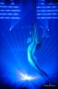 MPU_DDF_D3-0539.jpg
