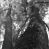 Filename : lapeliai_small.jpg
Filesize : 200KB
Dimensions : 800x789
Date added : May 30, 2005 lapeliai_small.jpg