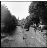 Filename : vno_3_small.jpg
Filesize : 268KB
Dimensions : 781x800
Date added : Aug 04, 2005 vno_3_small.jpg