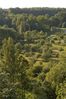 DSC_0844.JPG