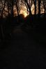 Filename : DSC_8808.jpg
Filesize : 152KB
Dimensions : 700x1053
Date added : Apr 26, 2004 DSC_8808.jpg