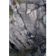 DSCF1919_086_ss