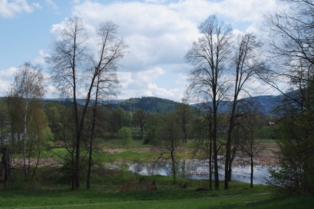 DSCF2180_206_ss