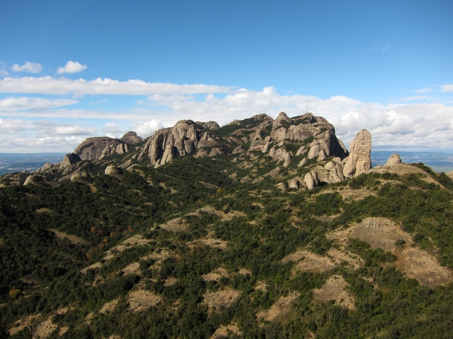 Montserrat antra pusė, Cavall Bernat (dešinėje)