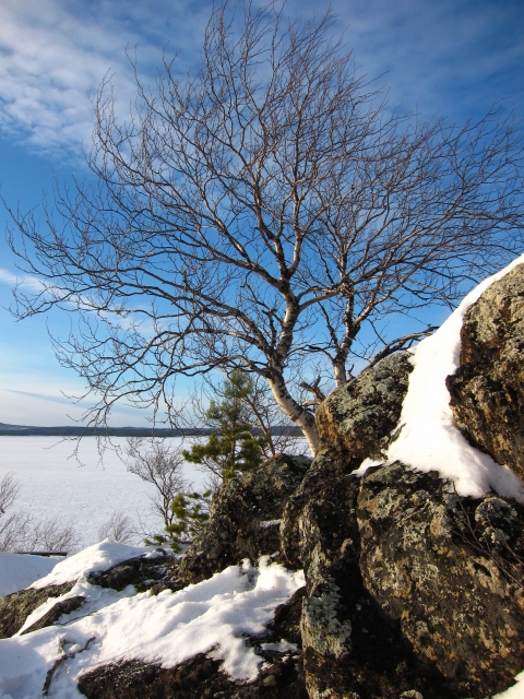 309_IMG_2928_fs
