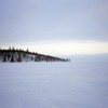 8196_02
