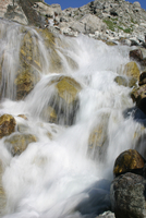 268_IMG_9792s