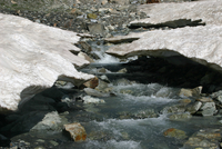 272_IMG_9804s