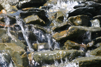 275_IMG_9808s