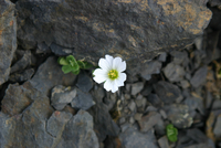 291_IMG_9853s