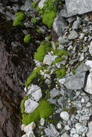 326_IMG_9919s
