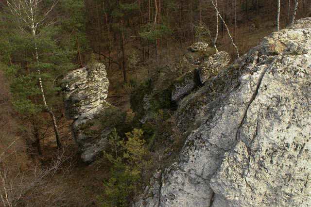 058_IMG_3529fs